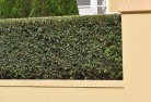 Caltowie Northhard-landscaping-surfaces-8.jpg; ?>